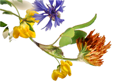 Decorative Master Planned Flower